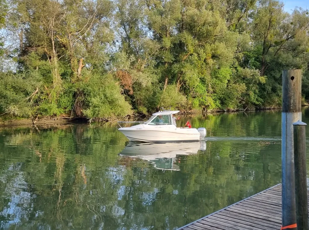AMARENA in unberührter Natur auf dem See