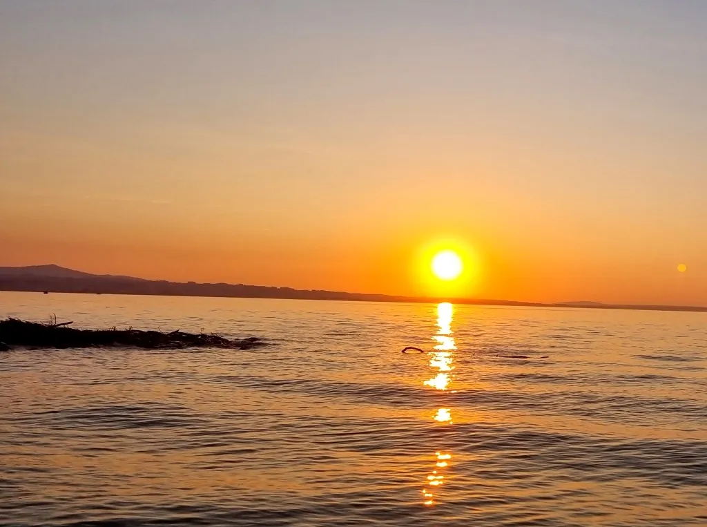 Sonnenuntergang über dem Bodensee mit einem Segelboot in goldener Abendstimmung